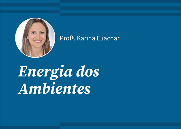 Energia dos Ambientes (Profª Karina Eliachar / Gravado)